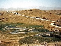 X Iran
