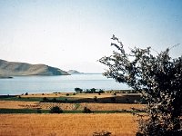 X Turkey