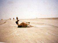 ZZA Desert South Iran