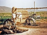 ZZM South Iran