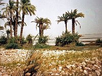 ZZZG Indus