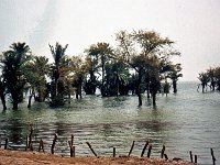ZZZI Indus