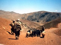 ZZZZZZZK Afghanistan back