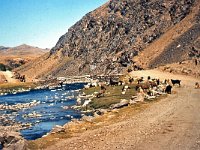 ZZZZZZZP Afghanistan back