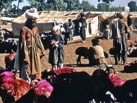 ZZZZZZZU back to Kabul