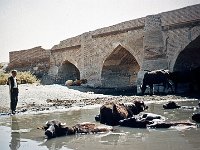 ZZZZZZZZR North Iran