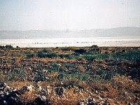 Z Iran