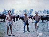 img005 2