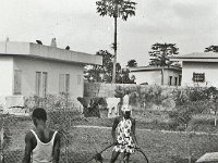 Garden-in-Ikeja