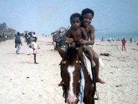 Horse  Kurt & Oliver on the horse