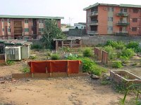 DSC00084