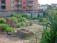DSC00088
