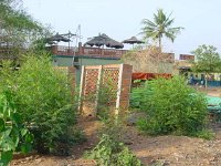 DSC00097