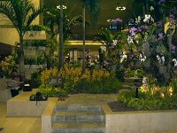 SingoporeAirport