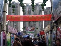 P1000185