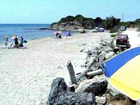 P1000682