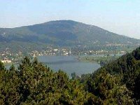 P1000833