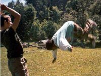 Backflip