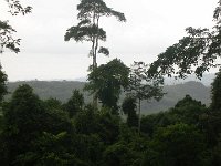 DSCN0821