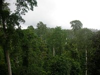 DSCN0830