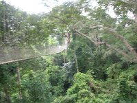 DSCN0837
