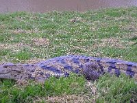 DSCN0847