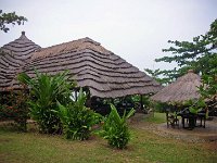 DSCN0894