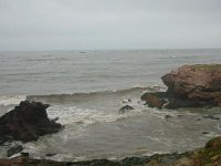DSCN0917