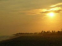DSCN0966