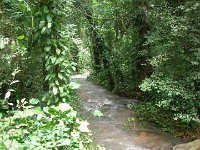 DSCN0977