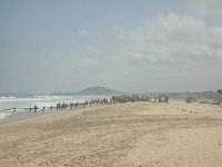 DSCN1045