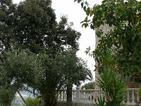 P1000183