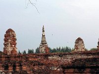 P1010449