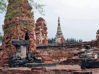 P1010452