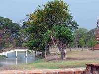P1010458