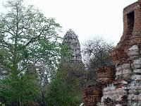 P1010460