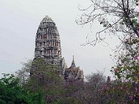 P1010469