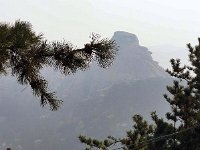 P1020126