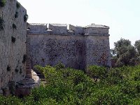 P1010635