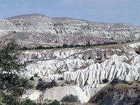 P1000677