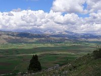P1010567