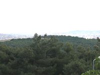 P1010572