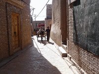P1000139
