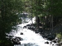 P1000245