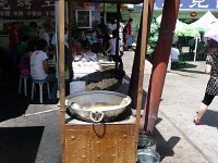 P1000272