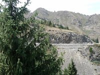P1000278