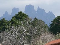 P1020519