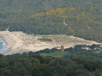 P1020550