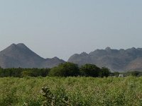 P1010028