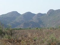 P1010031